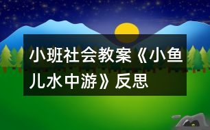 小班社會(huì)教案《小魚兒水中游》反思