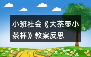 小班社會(huì)《大茶壺、小茶杯》教案反思