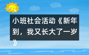 小班社會活動《新年到，我又長大了一歲》教學(xué)設(shè)計反思