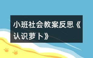 小班社會(huì)教案反思《認(rèn)識(shí)蘿卜》