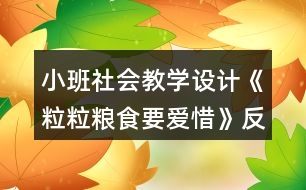小班社會教學設計《粒粒糧食要愛惜》反思