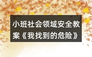 小班社會領域安全教案《我找到的危險》反思