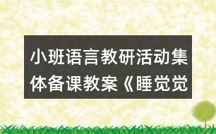 小班語(yǔ)言教研活動(dòng)集體備課教案《睡覺(jué)覺(jué)》反思
