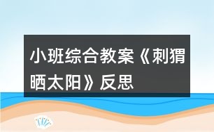 小班綜合教案《刺猬曬太陽(yáng)》反思