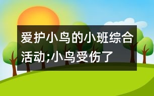 愛護(hù)小鳥的小班綜合活動;小鳥受傷了