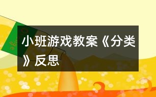 小班游戲教案《分類(lèi)》反思