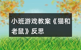 小班游戲教案《貓和老鼠》反思
