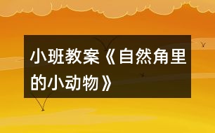 小班教案《自然角里的小動(dòng)物》