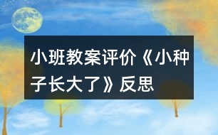 小班教案評價(jià)《小種子長大了》反思