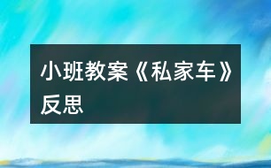小班教案《私家車(chē)》反思