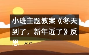 小班主題教案《冬天到了，新年近了》反思