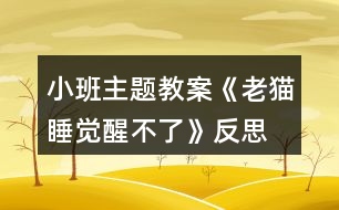 小班主題教案《老貓睡覺(jué)醒不了》反思