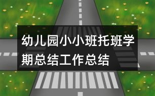 幼兒園小小班托班學期總結工作總結