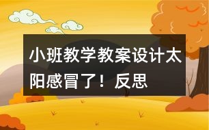 小班教學(xué)教案設(shè)計(jì)太陽感冒了！反思
