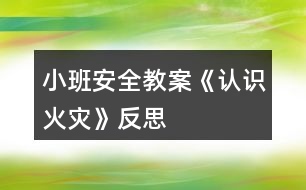 小班安全教案《認識火災》反思