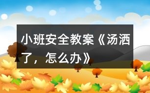 小班安全教案《湯灑了，怎么辦》