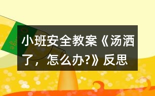 小班安全教案《湯灑了，怎么辦?》反思