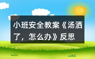 小班安全教案《湯灑了，怎么辦》反思