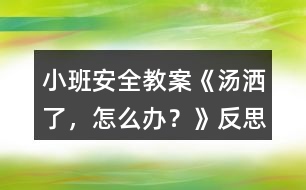 小班安全教案《湯灑了，怎么辦？》反思