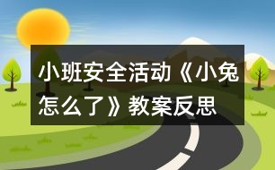 小班安全活動(dòng)《小兔怎么了》教案反思