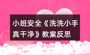 小班安全《洗洗小手真干凈》教案反思