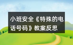 小班安全《特殊的電話(huà)號(hào)碼》教案反思