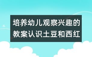 培養(yǎng)幼兒觀察興趣的教案：認識土豆和西紅柿