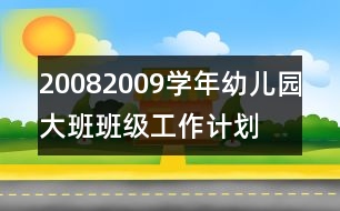 2008—2009學(xué)年幼兒園大班班級(jí)工作計(jì)劃