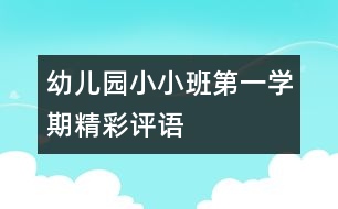 幼兒園小小班第一學(xué)期精彩評語