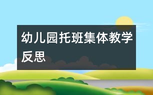 幼兒園托班集體教學(xué)反思