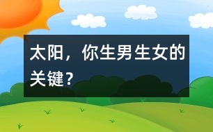 太陽(yáng)，你生男生女的關(guān)鍵？