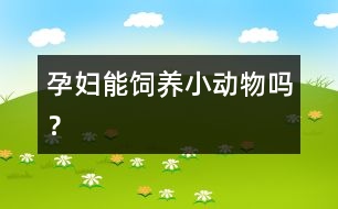孕婦能飼養(yǎng)小動(dòng)物嗎？