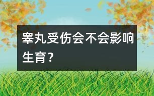 睪丸受傷會(huì)不會(huì)影響生育？