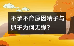 不孕不育原因：精子與卵子為何無(wú)緣？