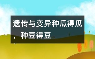 遺傳與變異：種瓜得瓜，種豆得豆