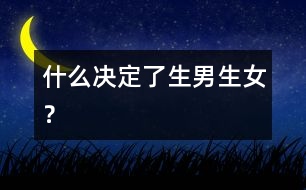 什么決定了生男生女？