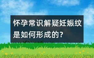 懷孕常識解疑：妊娠紋是如何形成的？