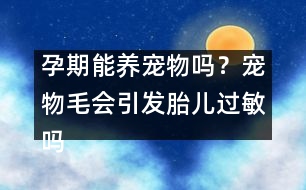 孕期能養(yǎng)寵物嗎？寵物毛會(huì)引發(fā)胎兒過(guò)敏嗎？