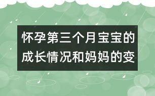 懷孕第三個(gè)月寶寶的成長情況和媽媽的變化參數(shù)