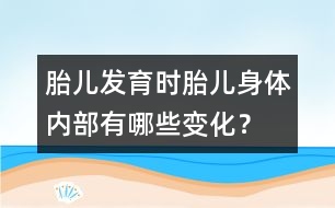 胎兒發(fā)育時(shí)：胎兒身體內(nèi)部有哪些變化？