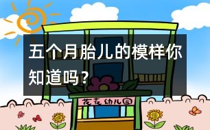 五個月胎兒的模樣你知道嗎？