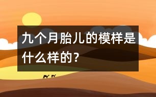 九個(gè)月胎兒的模樣是什么樣的？