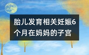 胎兒發(fā)育相關(guān)：妊娠6個(gè)月“在媽媽的子宮里，像在宇宙中遨游！”