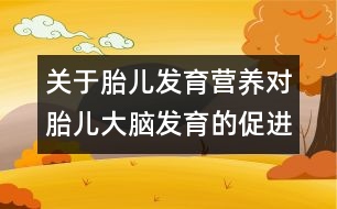 關(guān)于胎兒發(fā)育：營養(yǎng)對胎兒大腦發(fā)育的促進