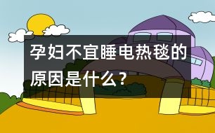 孕婦不宜睡電熱毯的原因是什么？