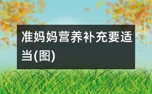準(zhǔn)媽媽營養(yǎng)補充要適當(dāng)(圖)