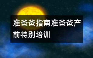 準爸爸指南：準爸爸產前特別培訓