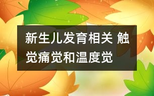 新生兒發(fā)育相關(guān)： 觸覺(jué)、痛覺(jué)和溫度覺(jué)