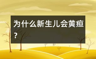 為什么新生兒會(huì)黃疸？