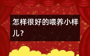 怎樣很好的喂養(yǎng)小樣兒？